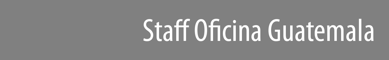 CABEZOTE STAFF GT GRIS